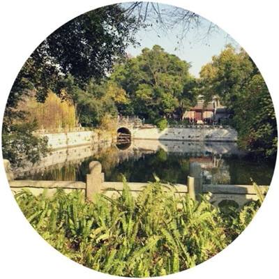梦幻新诛仙无限元宝版下载