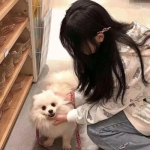戒灵传说4399游戏下载