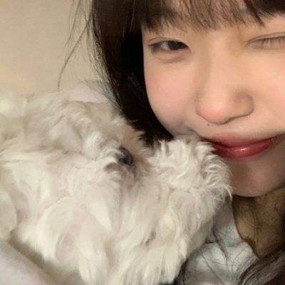 向前攻击破解版下载